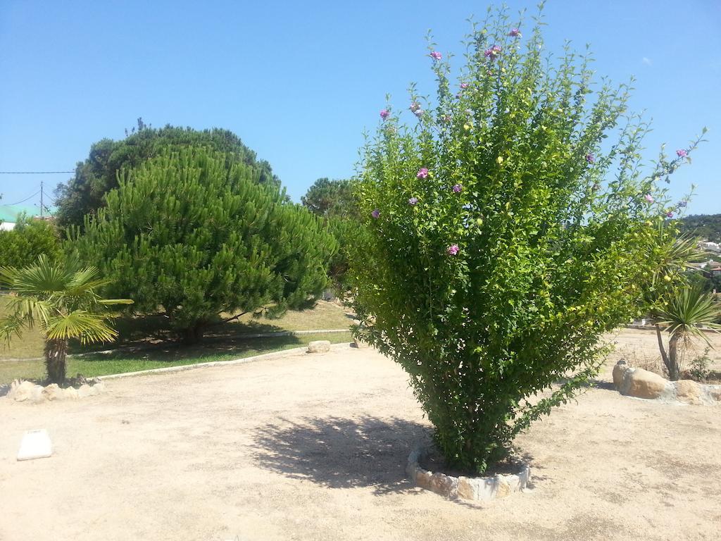Hostal Los Pinares Lloret de Mar Ngoại thất bức ảnh